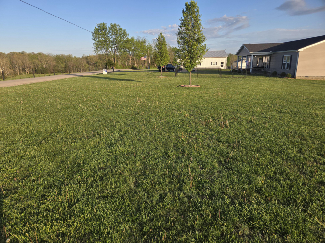 Listing Image 31