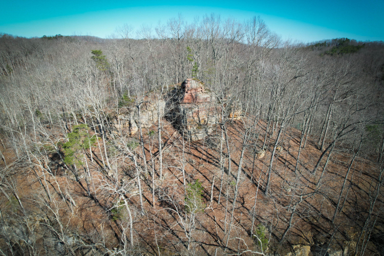 Listing Image 11