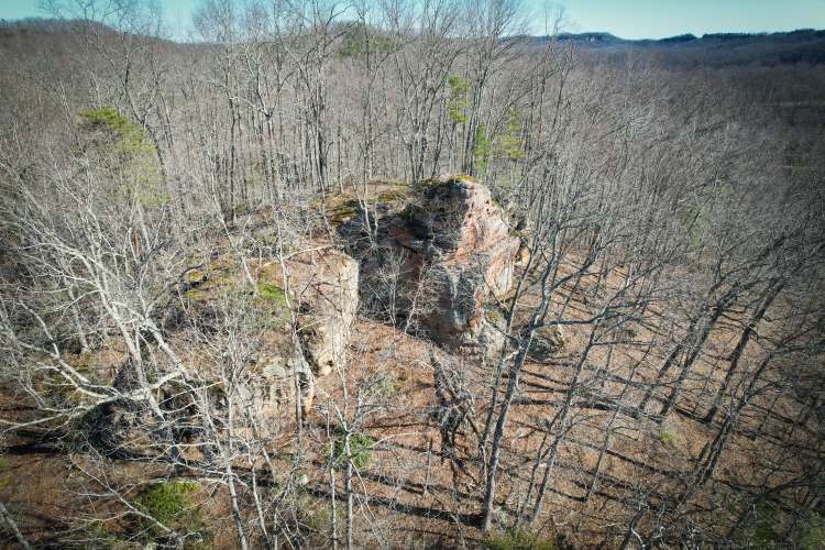 Listing Image 3