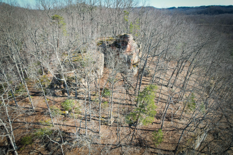 Listing Image 9