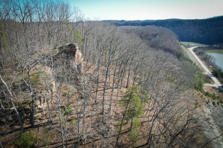 Listing Image 10