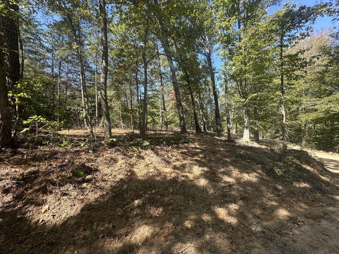 Listing Image 17