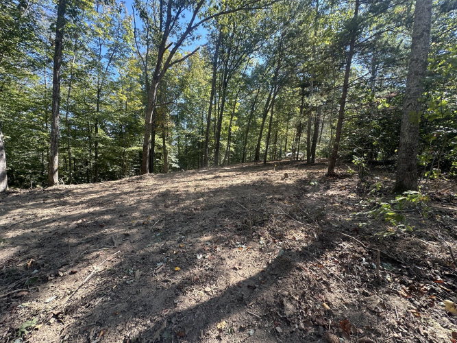 Listing Image 24