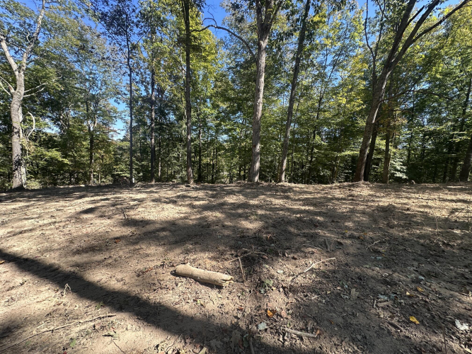 Listing Image 25