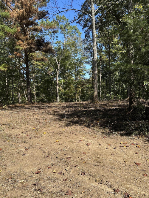 Listing Image 30