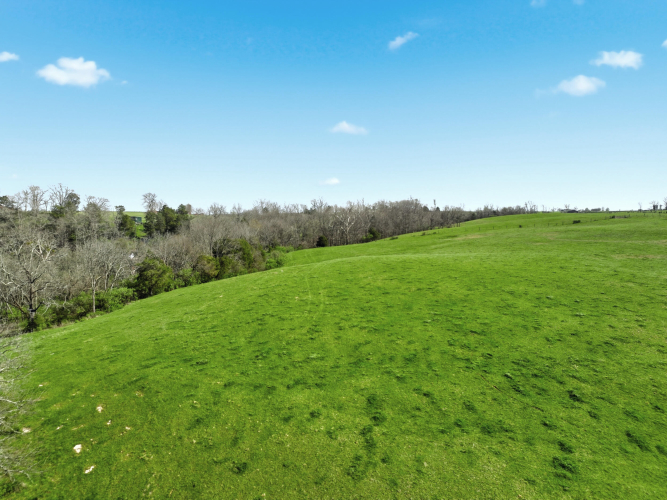 Listing Image 44