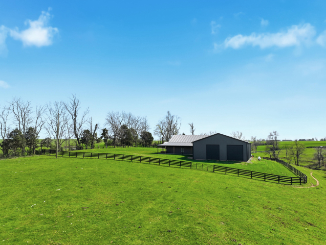 Listing Image 50