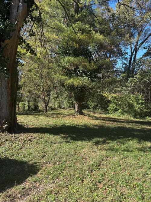 Listing Image 46