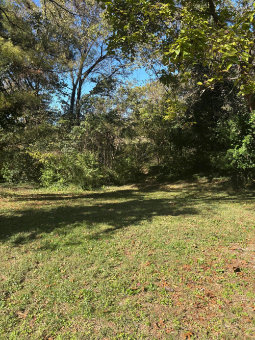 Listing Image 47