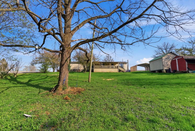 Listing Image 22