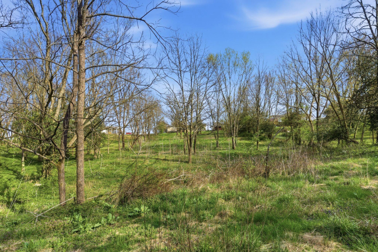 Listing Image 23