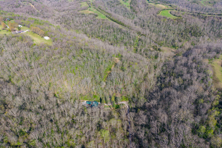 Listing Image 18