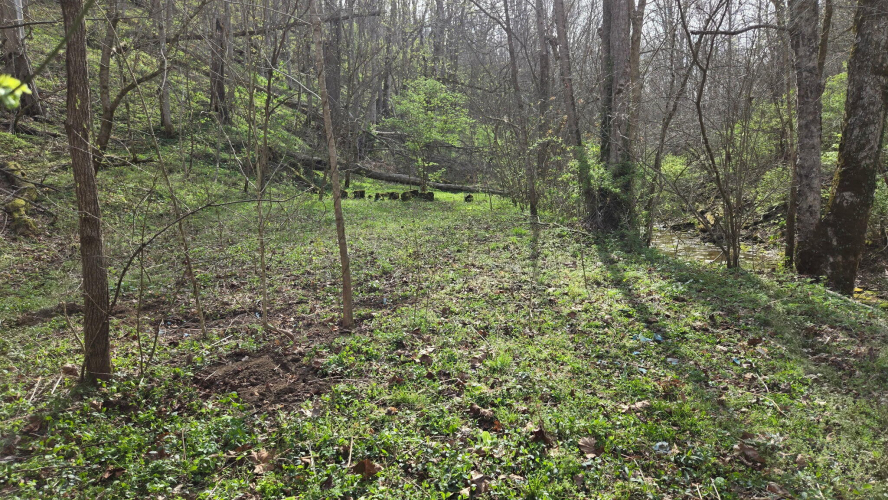 Listing Image 20