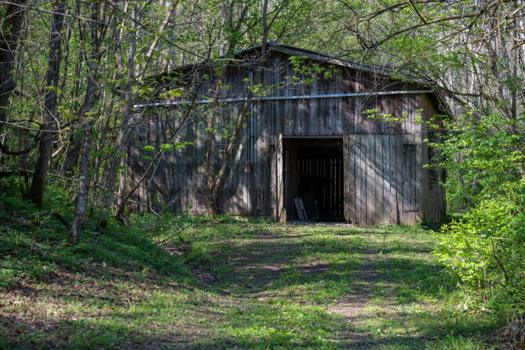 Listing Image 9