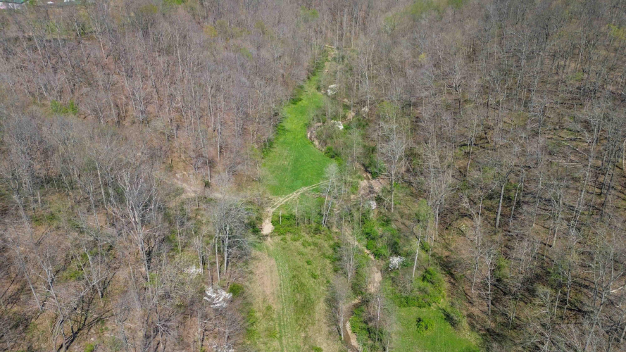 Listing Image 41