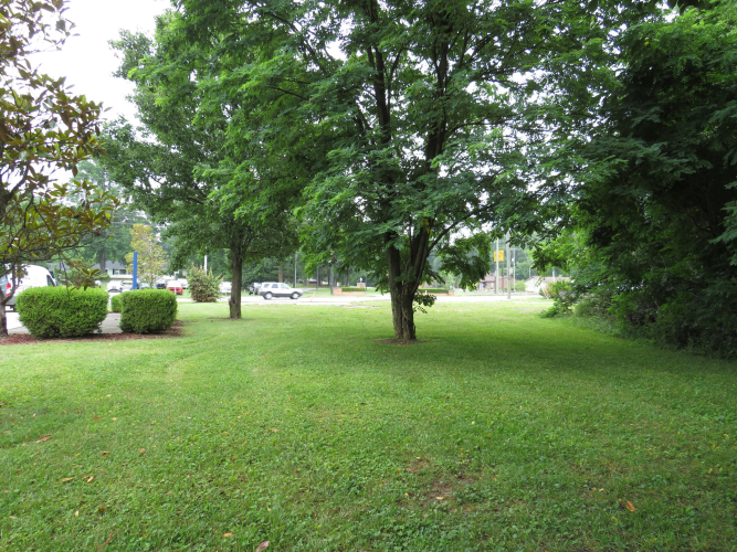 Listing Image 17