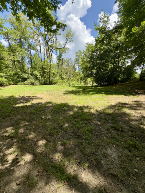 Listing Image 50