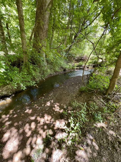 Listing Image 51