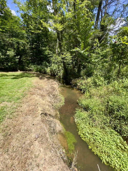 Listing Image 52