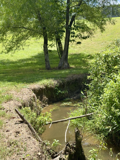 Listing Image 53