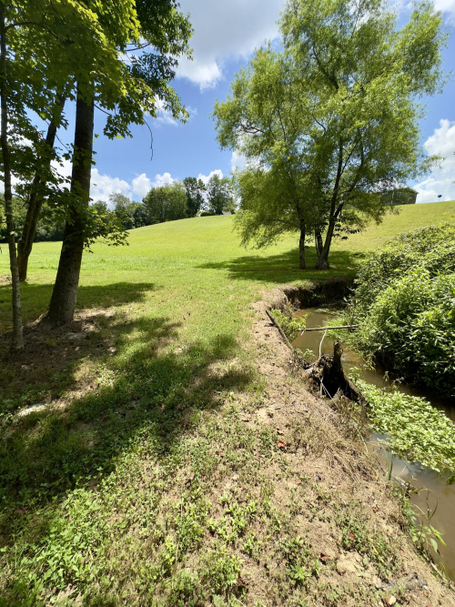 Listing Image 54