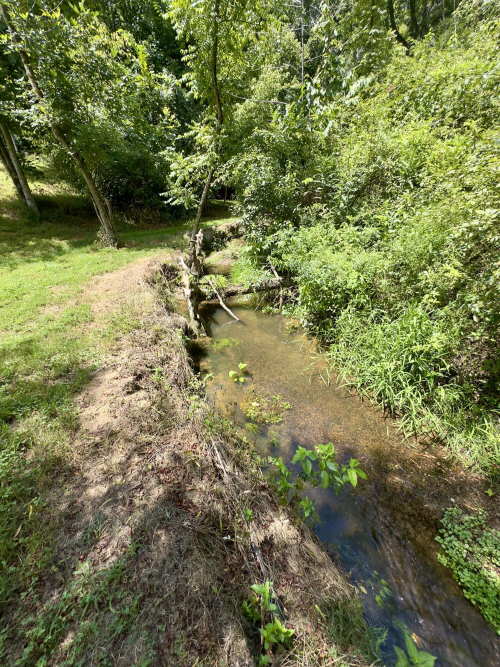 Listing Image 55