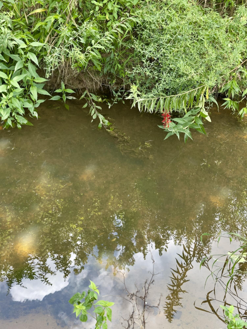 Listing Image 57