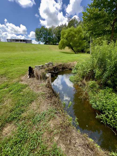 Listing Image 59