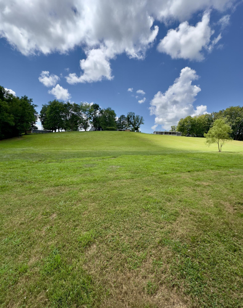 Listing Image 60