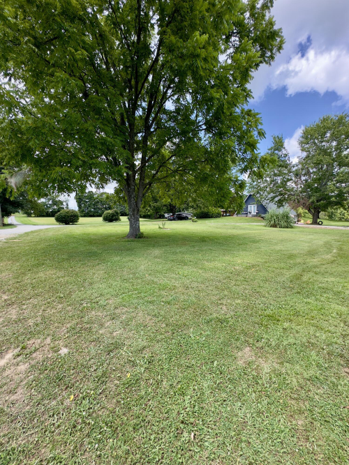 Listing Image 61