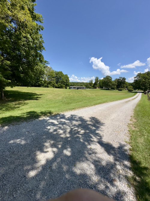 Listing Image 63