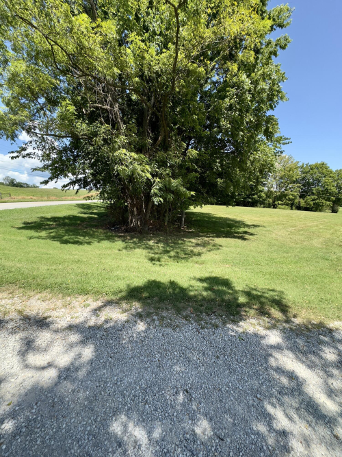 Listing Image 64