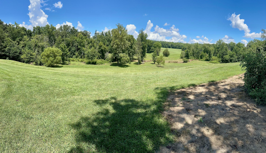 Listing Image 65