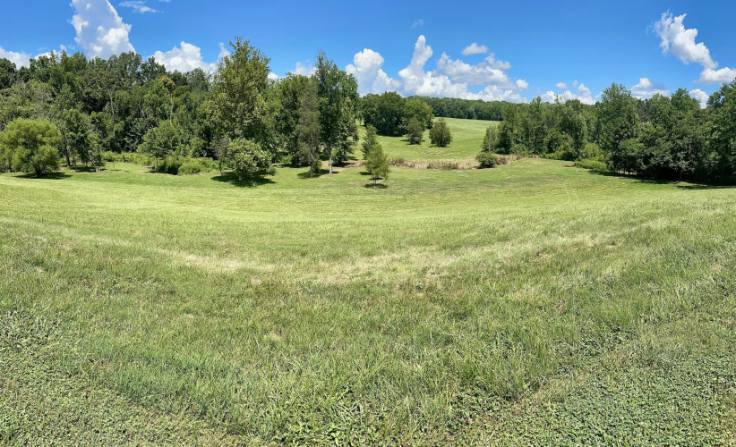 Listing Image 66