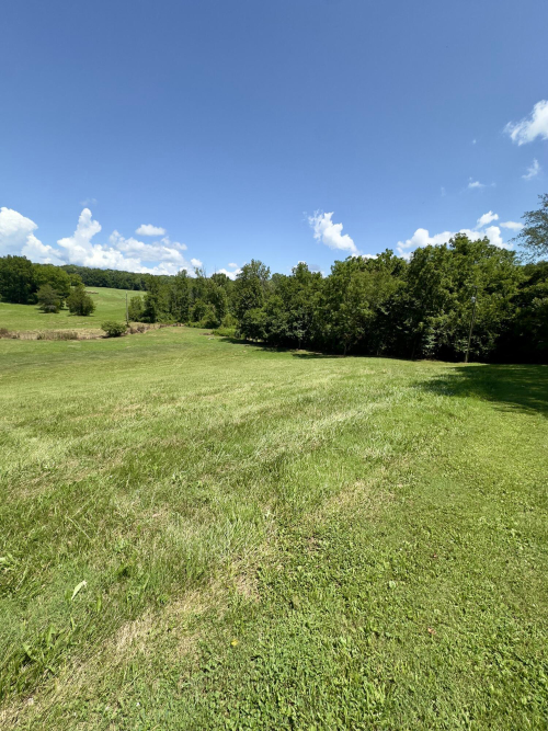 Listing Image 67