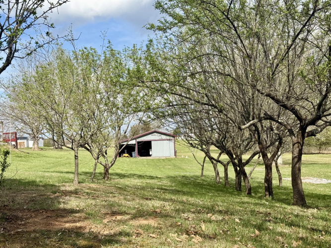 Listing Image 45