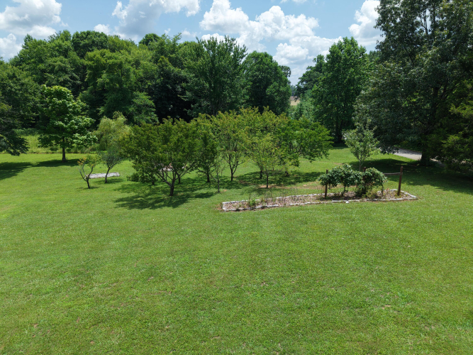 Listing Image 66