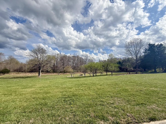 Listing Image 87