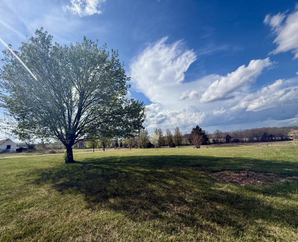 Listing Image 89