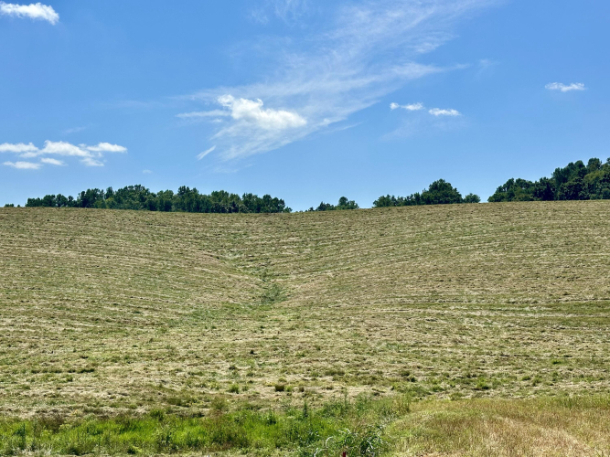 Listing Image 26