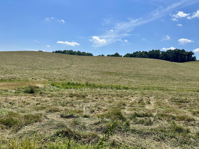 Listing Image 27