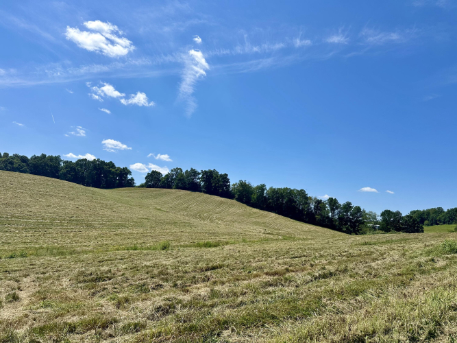 Listing Image 28