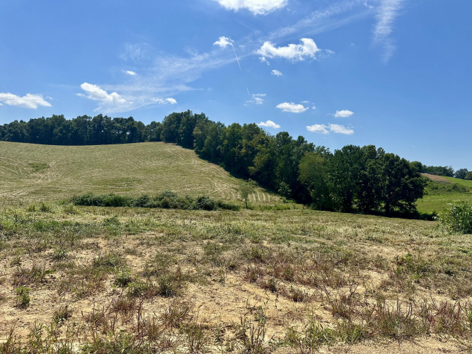 Listing Image 29