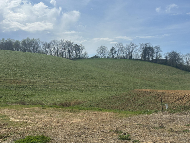 Listing Image 31