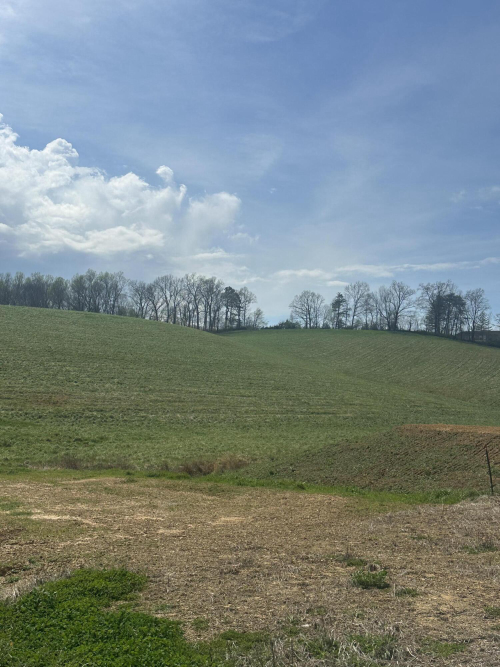Listing Image 33