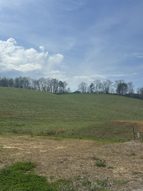 Listing Image 34