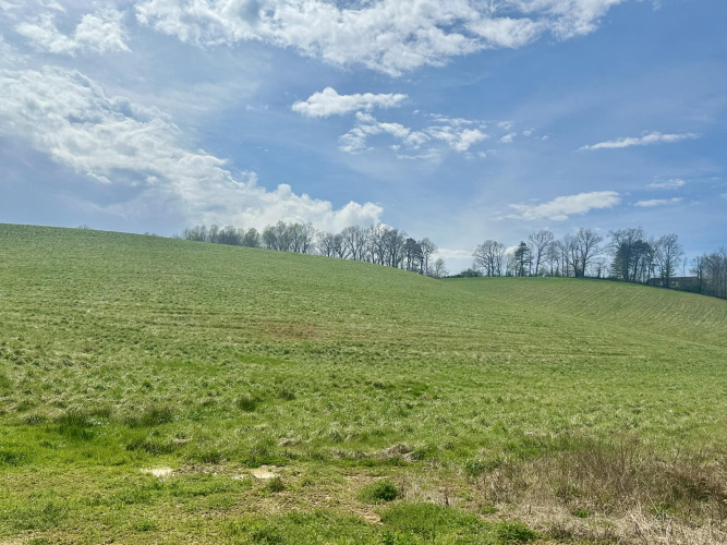 Listing Image 37