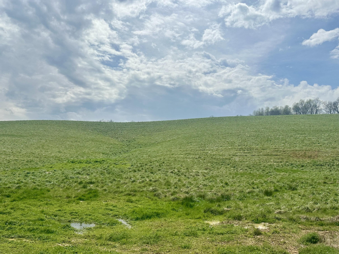 Listing Image 38