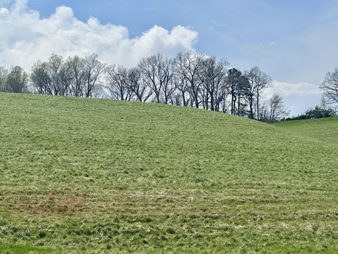 Listing Image 41