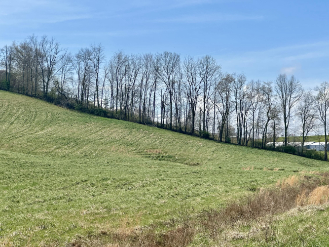 Listing Image 43